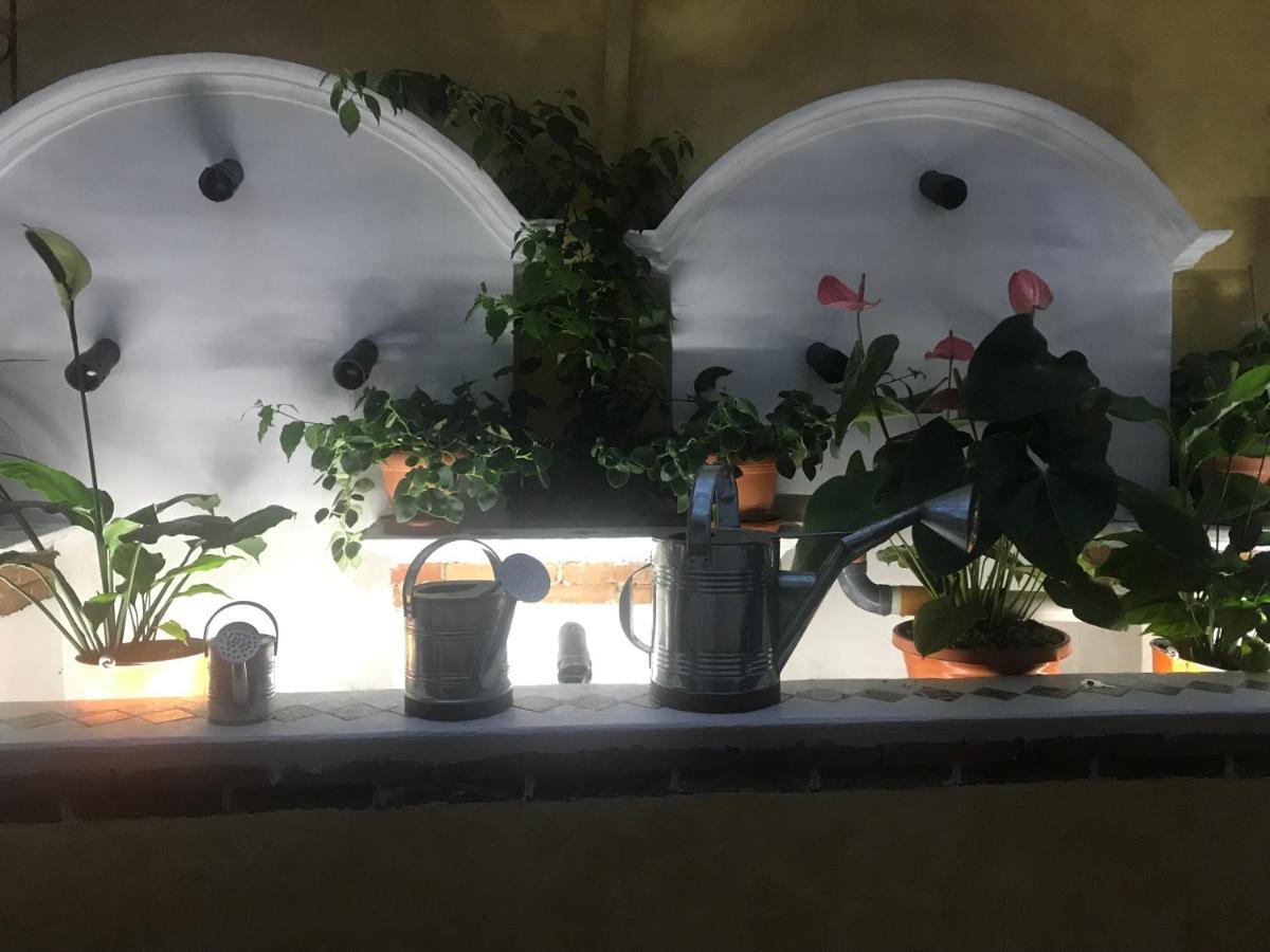 Hotel Boutique Casa Jose Cobán Eksteriør bilde